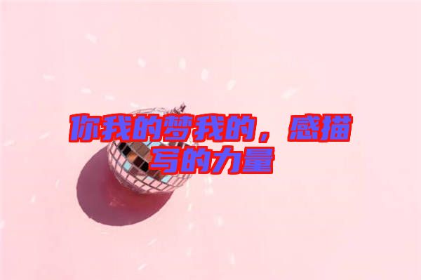 你我的夢我的，感描寫的力量