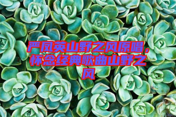 嚴(yán)鳳英山野之風(fēng)原唱，懷念經(jīng)典歌曲山野之風(fēng)