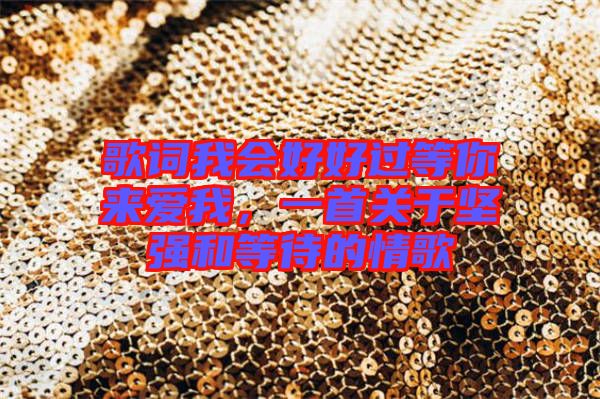 歌詞我會(huì)好好過(guò)等你來(lái)愛(ài)我，一首關(guān)于堅(jiān)強(qiáng)和等待的情歌