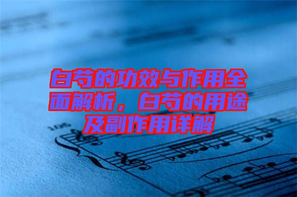 白芍的功效與作用全面解析，白芍的用途及副作用詳解