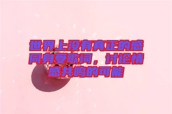 世界上沒有真正的感同身受歌詞，討論情感共鳴的可能