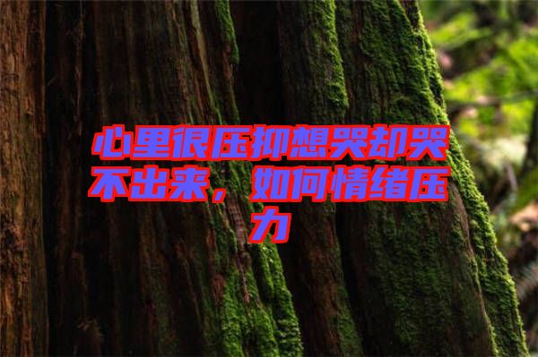 心里很壓抑想哭卻哭不出來，如何情緒壓力