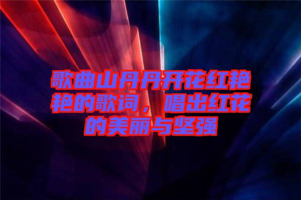 歌曲山丹丹開花紅艷艷的歌詞，唱出紅花的美麗與堅強