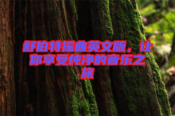 舒伯特搖曲英文版，讓你享受純凈的音樂之旅