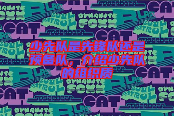 少先隊(duì)是先鋒隊(duì)還是預(yù)備隊(duì)，介紹少先隊(duì)的組織質(zhì)