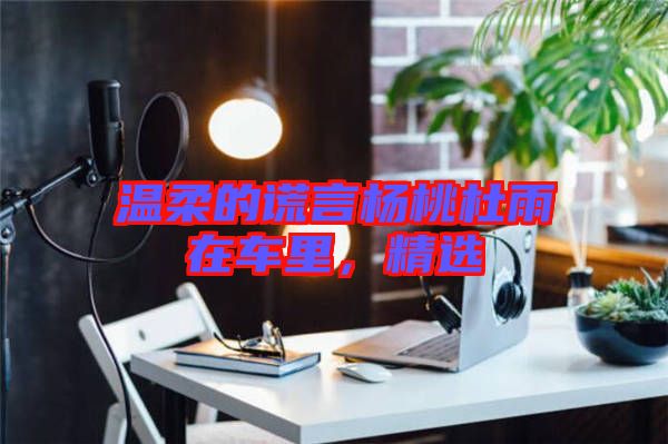 溫柔的謊言楊桃杜雨在車里，精選