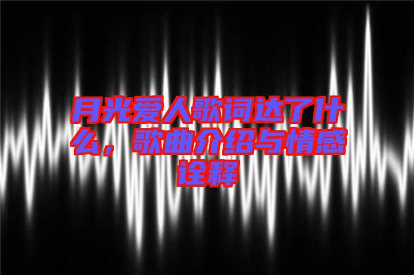 月光愛人歌詞達(dá)了什么，歌曲介紹與情感詮釋