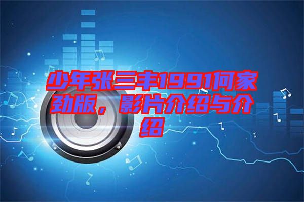少年張三豐1991何家勁版，影片介紹與介紹