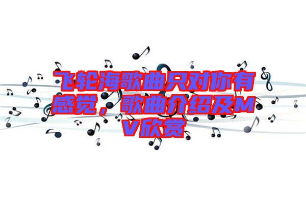 飛輪海歌曲只對你有感覺，歌曲介紹及MV欣賞