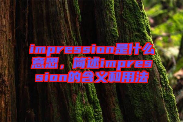 impression是什么意思，簡(jiǎn)述impression的含義和用法