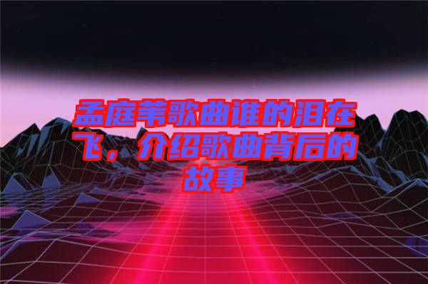 孟庭葦歌曲誰的淚在飛，介紹歌曲背后的故事