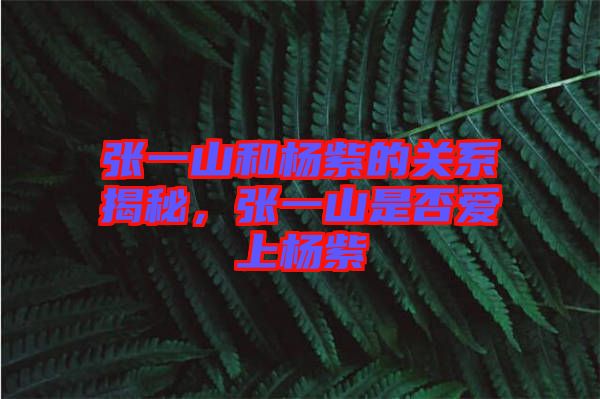 張一山和楊紫的關(guān)系揭秘，張一山是否愛(ài)上楊紫