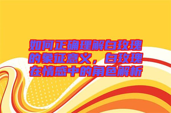 如何正確理解白玫瑰的象征意義，白玫瑰在情感中的角色解析
