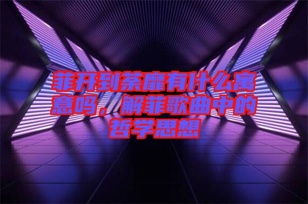 菲開到荼靡有什么寓意嗎，解菲歌曲中的哲學思想