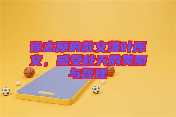 徐志摩的散文落葉原文，感受秋天的美麗與哲理