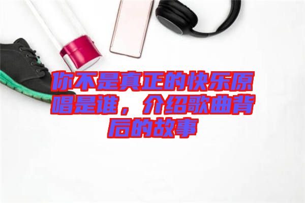 你不是真正的快樂原唱是誰，介紹歌曲背后的故事