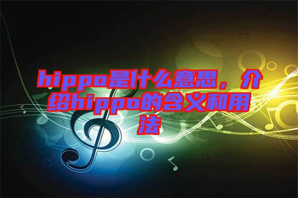 hippo是什么意思，介紹hippo的含義和用法