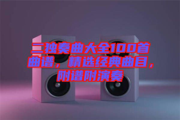 二獨(dú)奏曲大全100首曲譜，精選經(jīng)典曲目，附譜附演奏