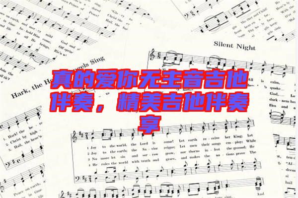 真的愛你無主音吉他伴奏，精美吉他伴奏享