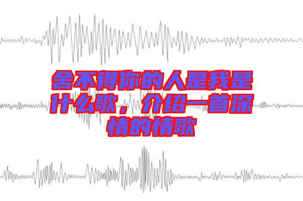 舍不得你的人是我是什么歌，介紹一首深情的情歌