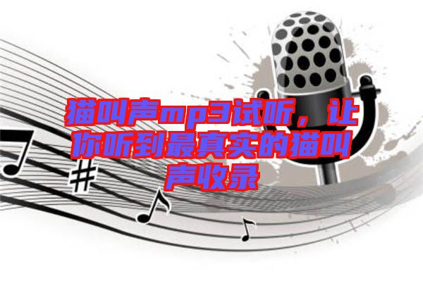 貓叫聲mp3試聽，讓你聽到最真實(shí)的貓叫聲收錄