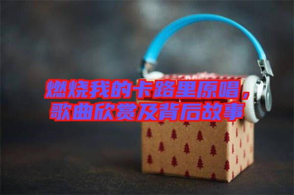 燃燒我的卡路里原唱，歌曲欣賞及背后故事