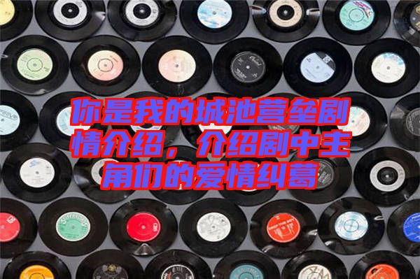 你是我的城池營(yíng)壘劇情介紹，介紹劇中主角們的愛情糾葛
