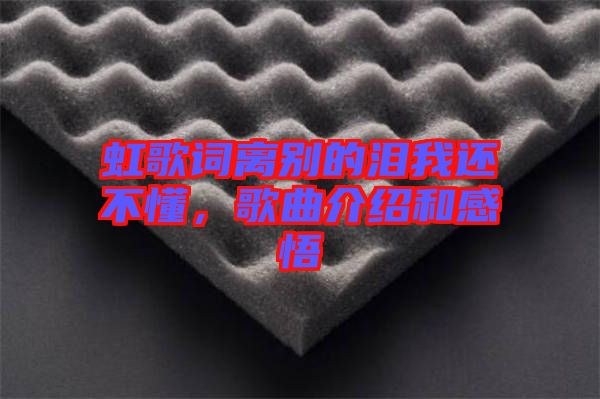 虹歌詞離別的淚我還不懂，歌曲介紹和感悟