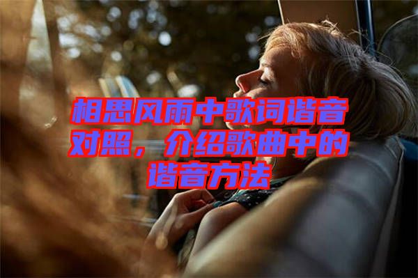 相思風雨中歌詞諧音對照，介紹歌曲中的諧音方法
