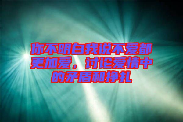你不明白我說不愛都更加愛，討論愛情中的矛盾和掙扎