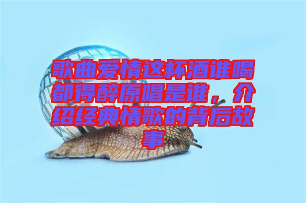 歌曲愛情這杯酒誰喝都得醉原唱是誰，介紹經典情歌的背后故事