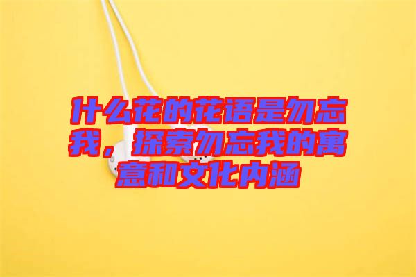 什么花的花語是勿忘我，探索勿忘我的寓意和文化內涵