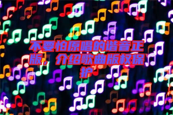 不要怕原唱的諧音正版，介紹歌曲版權(quán)保護(hù)