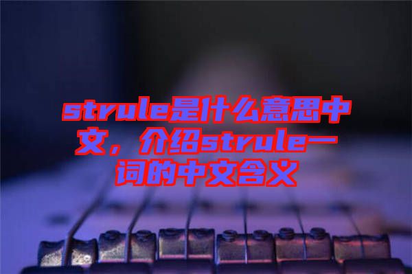 strule是什么意思中文，介紹strule一詞的中文含義