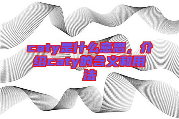 caty是什么意思，介紹caty的含義和用法