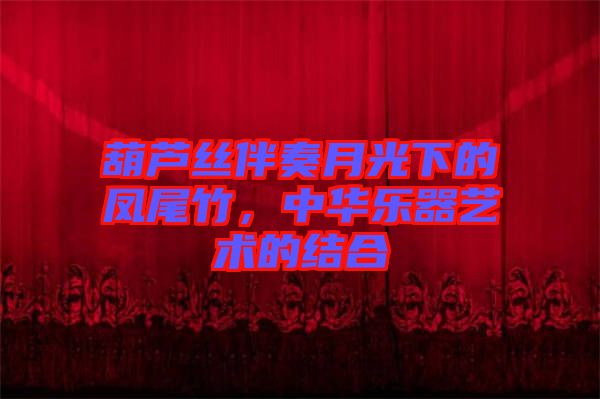 葫蘆絲伴奏月光下的鳳尾竹，中華樂器藝術(shù)的結(jié)合