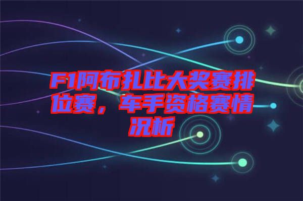 F1阿布扎比大獎賽排位賽，車手資格賽情況析