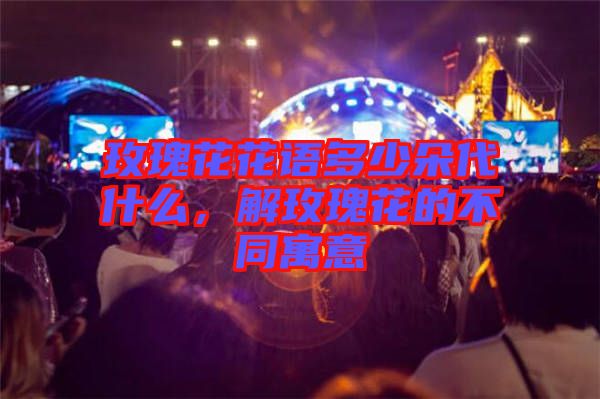 玫瑰花花語多少朵代什么，解玫瑰花的不同寓意