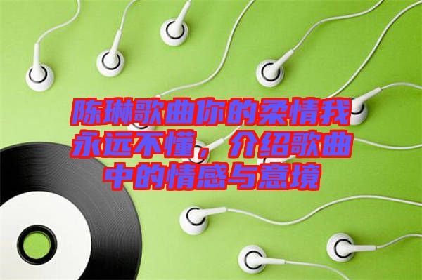 陳琳歌曲你的柔情我永遠不懂，介紹歌曲中的情感與意境