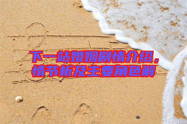 下一站婚姻劇情介紹，情節(jié)析及主要角色解