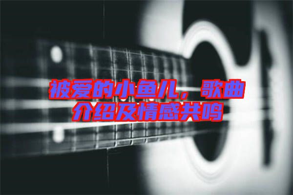 被愛(ài)的小魚兒，歌曲介紹及情感共鳴