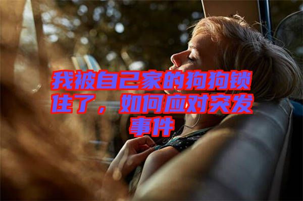 我被自己家的狗狗鎖住了，如何應(yīng)對(duì)突發(fā)事件