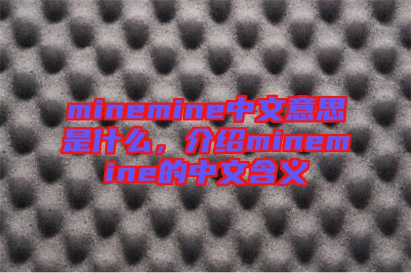 minemine中文意思是什么，介紹minemine的中文含義
