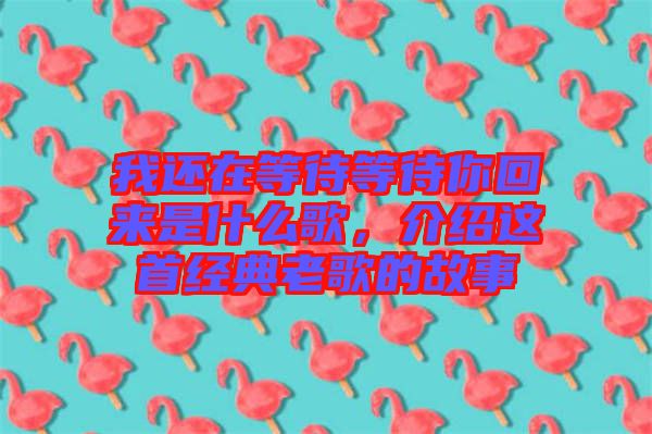 我還在等待等待你回來(lái)是什么歌，介紹這首經(jīng)典老歌的故事