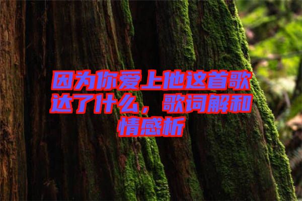 因為你愛上他這首歌達(dá)了什么，歌詞解和情感析