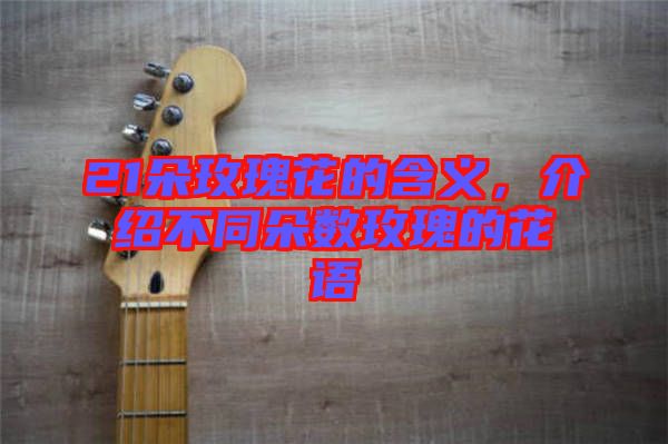 21朵玫瑰花的含義，介紹不同朵數(shù)玫瑰的花語