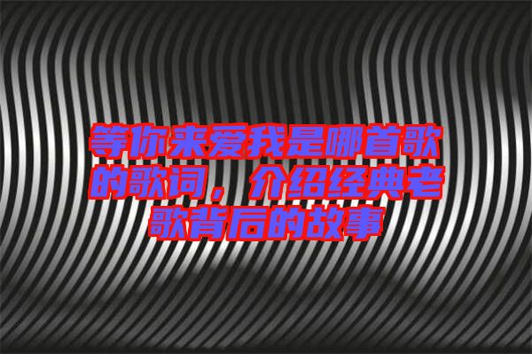 等你來(lái)愛(ài)我是哪首歌的歌詞，介紹經(jīng)典老歌背后的故事