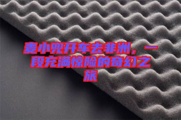 麥小兜開車去非洲，一段充滿驚險的奇幻之旅
