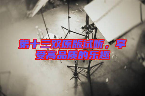 第十三雙原版試聽，享受高品質(zhì)的樂趣