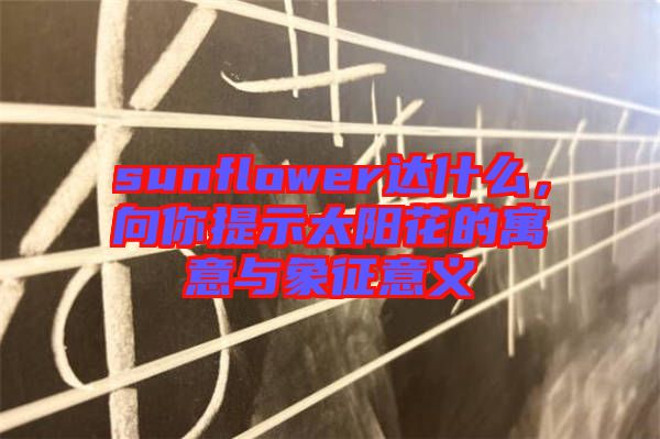 sunflower達(dá)什么，向你提示太陽(yáng)花的寓意與象征意義
